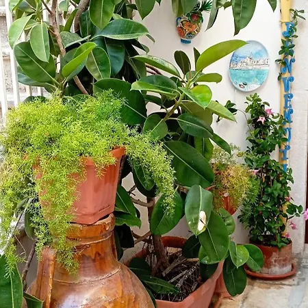 A Casa Mia Джовинаццо