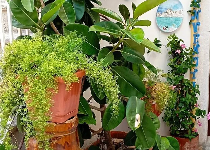 A Casa Mia Giovinazzo